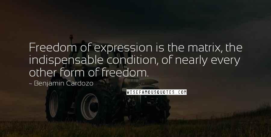 Benjamin Cardozo Quotes: Freedom of expression is the matrix, the indispensable condition, of nearly every other form of freedom.