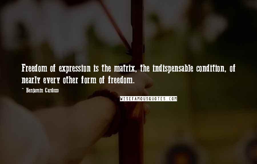 Benjamin Cardozo Quotes: Freedom of expression is the matrix, the indispensable condition, of nearly every other form of freedom.