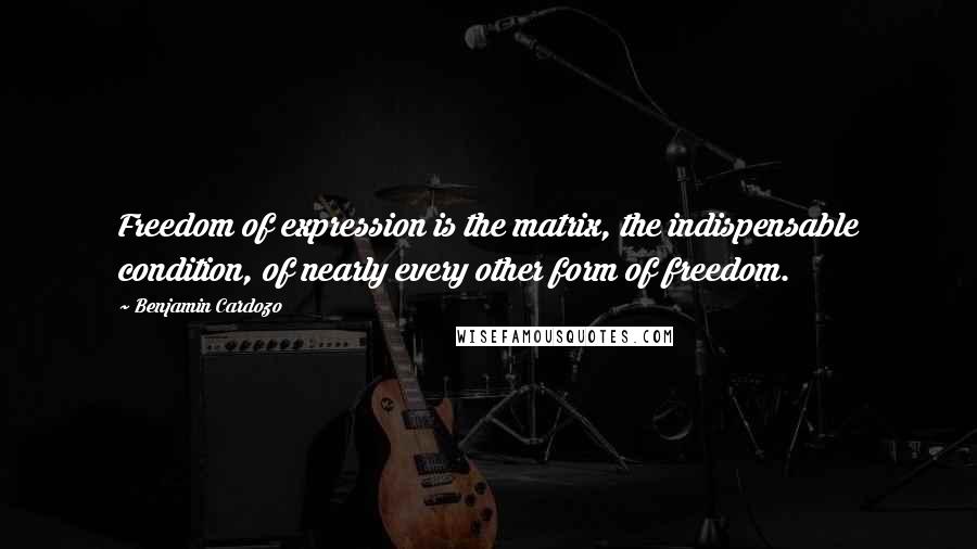 Benjamin Cardozo Quotes: Freedom of expression is the matrix, the indispensable condition, of nearly every other form of freedom.