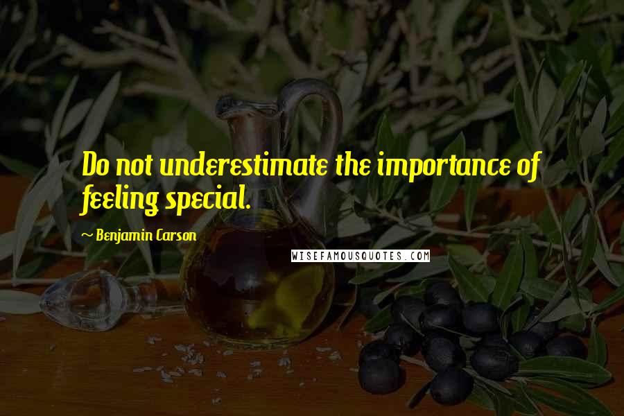 Benjamin Carson Quotes: Do not underestimate the importance of feeling special.