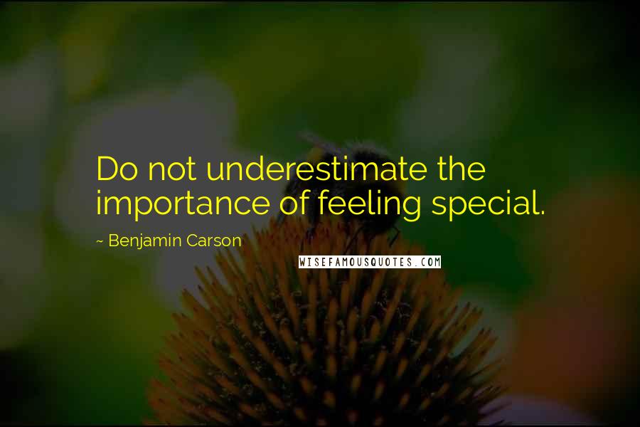 Benjamin Carson Quotes: Do not underestimate the importance of feeling special.