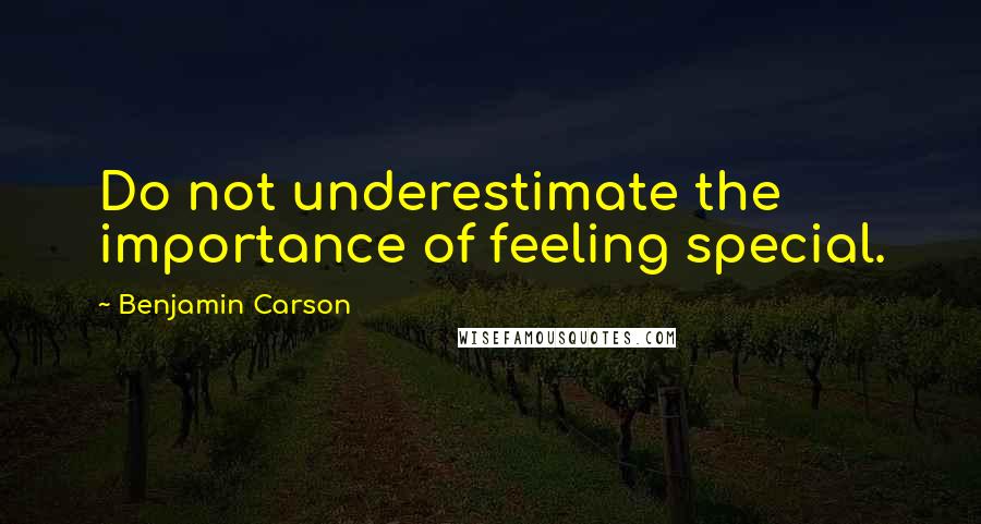 Benjamin Carson Quotes: Do not underestimate the importance of feeling special.