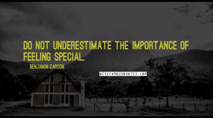 Benjamin Carson Quotes: Do not underestimate the importance of feeling special.