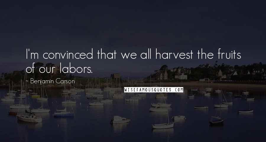 Benjamin Carson Quotes: I'm convinced that we all harvest the fruits of our labors.