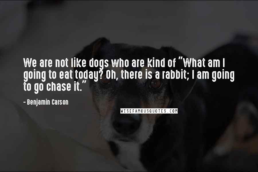 Benjamin Carson Quotes: We are not like dogs who are kind of "What am I going to eat today? Oh, there is a rabbit; I am going to go chase it."