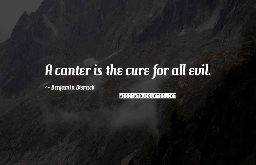 Benjamin Disraeli Quotes: A canter is the cure for all evil.