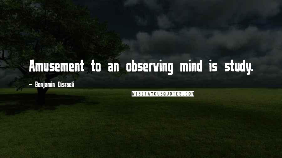 Benjamin Disraeli Quotes: Amusement to an observing mind is study.