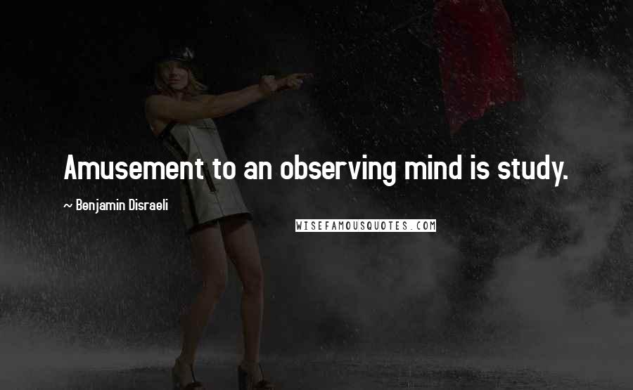 Benjamin Disraeli Quotes: Amusement to an observing mind is study.