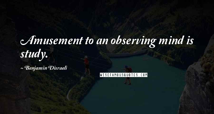 Benjamin Disraeli Quotes: Amusement to an observing mind is study.