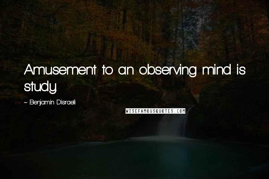 Benjamin Disraeli Quotes: Amusement to an observing mind is study.