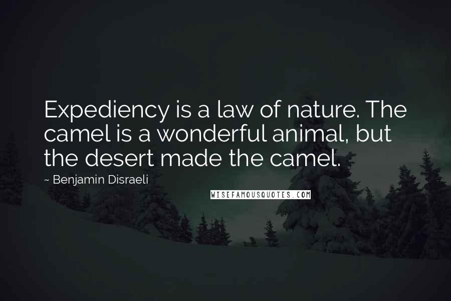 Benjamin Disraeli Quotes: Expediency is a law of nature. The camel is a wonderful animal, but the desert made the camel.