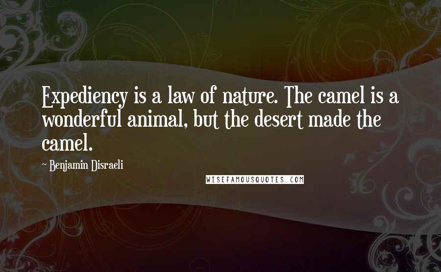 Benjamin Disraeli Quotes: Expediency is a law of nature. The camel is a wonderful animal, but the desert made the camel.