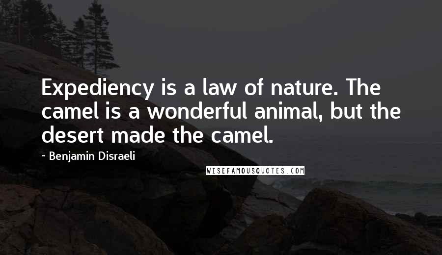 Benjamin Disraeli Quotes: Expediency is a law of nature. The camel is a wonderful animal, but the desert made the camel.