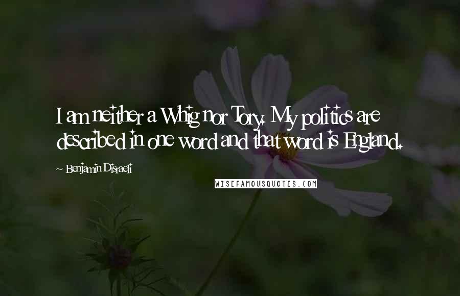 Benjamin Disraeli Quotes: I am neither a Whig nor Tory. My politics are described in one word and that word is England.