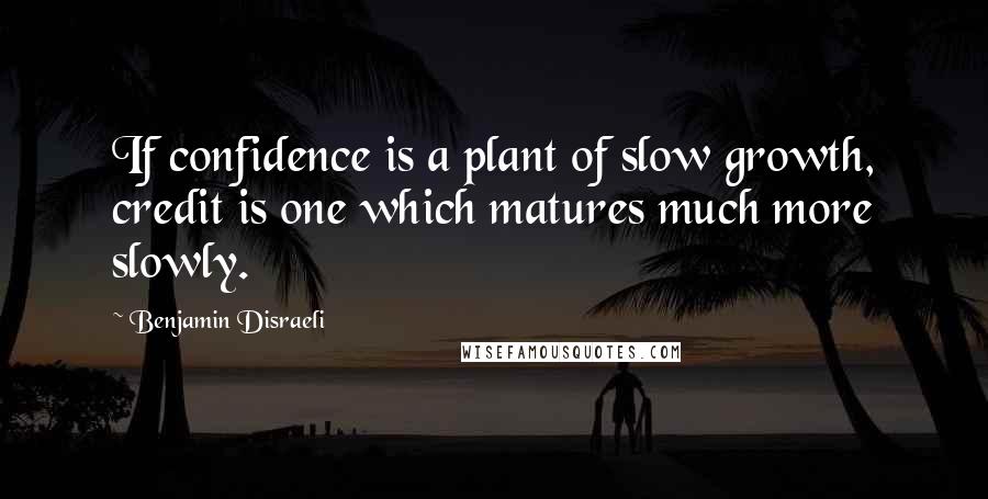 Benjamin Disraeli Quotes: If confidence is a plant of slow growth, credit is one which matures much more slowly.