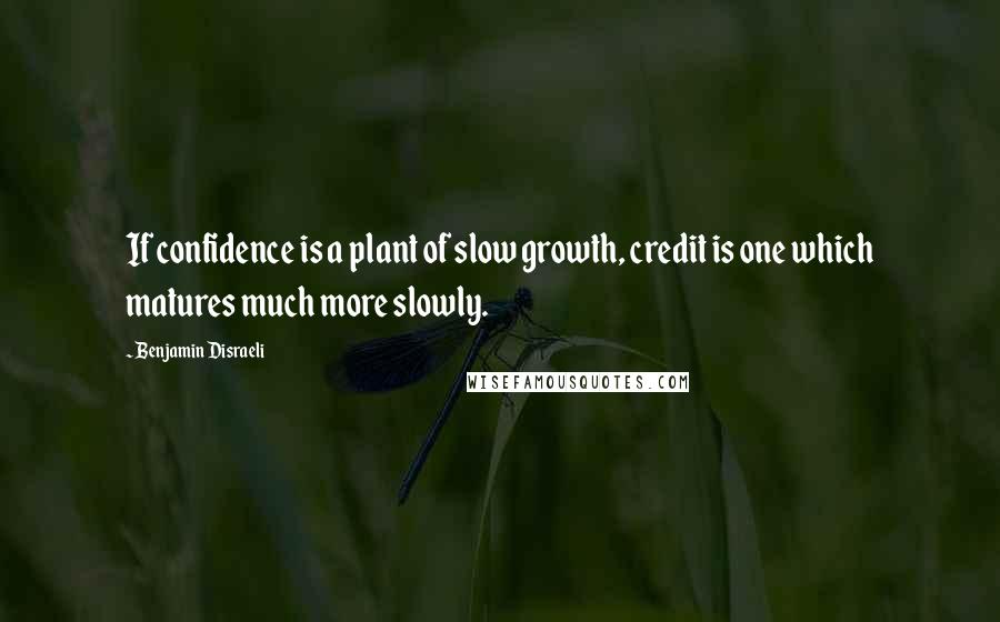 Benjamin Disraeli Quotes: If confidence is a plant of slow growth, credit is one which matures much more slowly.