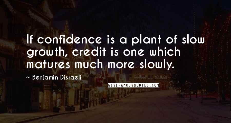 Benjamin Disraeli Quotes: If confidence is a plant of slow growth, credit is one which matures much more slowly.