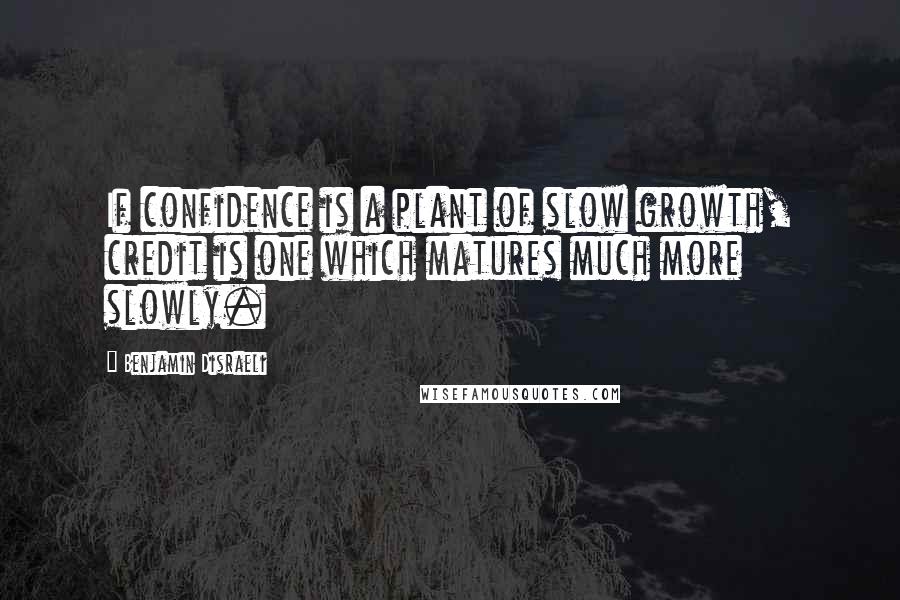 Benjamin Disraeli Quotes: If confidence is a plant of slow growth, credit is one which matures much more slowly.