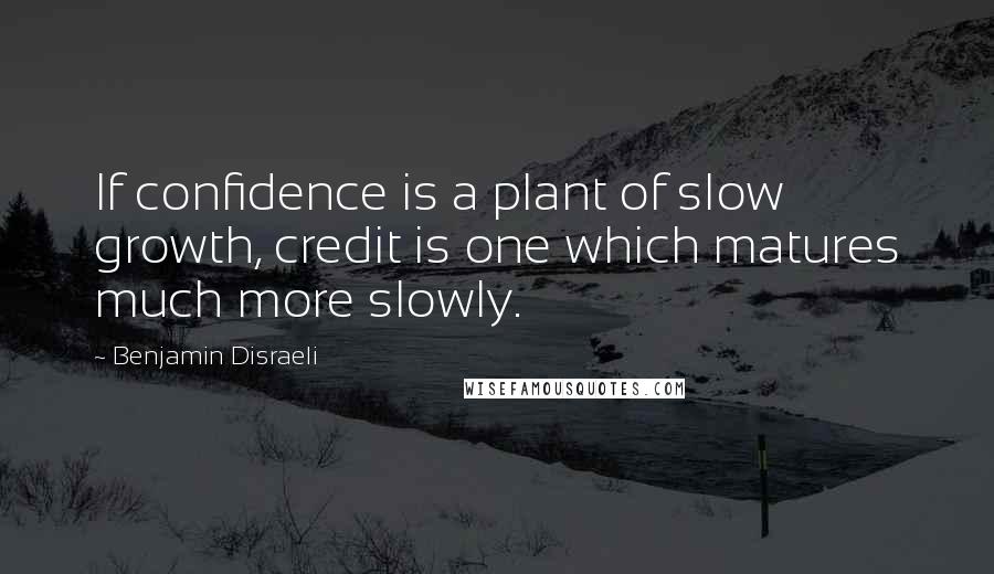 Benjamin Disraeli Quotes: If confidence is a plant of slow growth, credit is one which matures much more slowly.