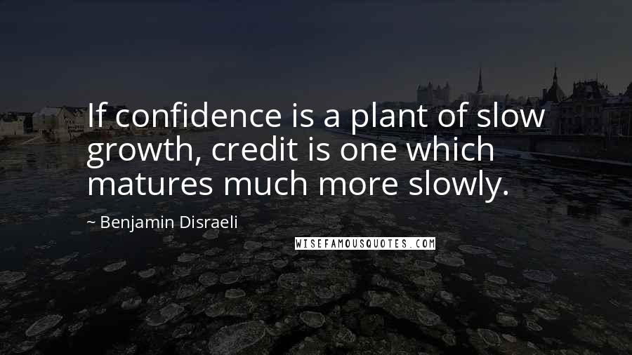 Benjamin Disraeli Quotes: If confidence is a plant of slow growth, credit is one which matures much more slowly.