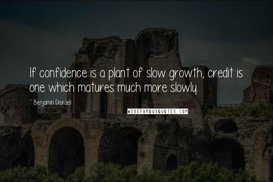 Benjamin Disraeli Quotes: If confidence is a plant of slow growth, credit is one which matures much more slowly.