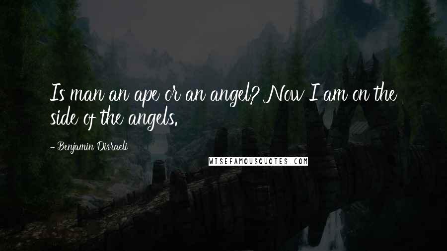 Benjamin Disraeli Quotes: Is man an ape or an angel? Now I am on the side of the angels.