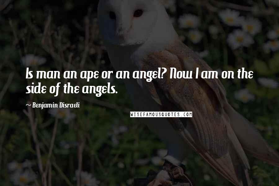 Benjamin Disraeli Quotes: Is man an ape or an angel? Now I am on the side of the angels.