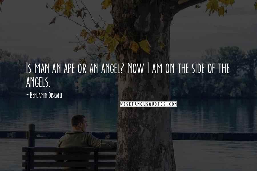 Benjamin Disraeli Quotes: Is man an ape or an angel? Now I am on the side of the angels.