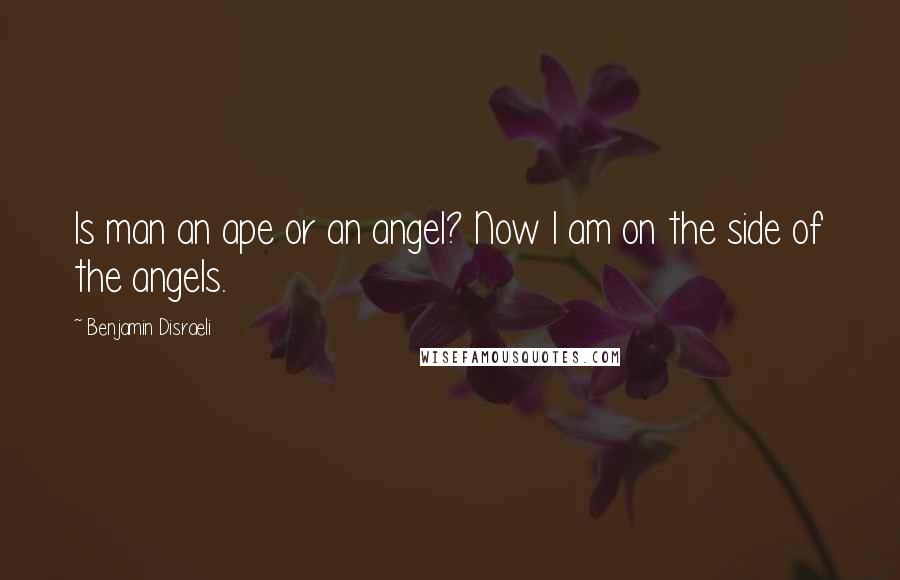 Benjamin Disraeli Quotes: Is man an ape or an angel? Now I am on the side of the angels.