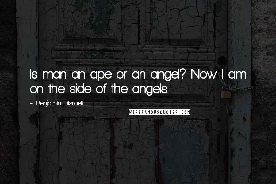 Benjamin Disraeli Quotes: Is man an ape or an angel? Now I am on the side of the angels.