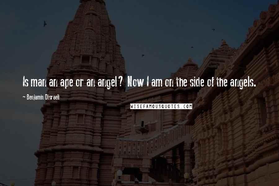 Benjamin Disraeli Quotes: Is man an ape or an angel? Now I am on the side of the angels.