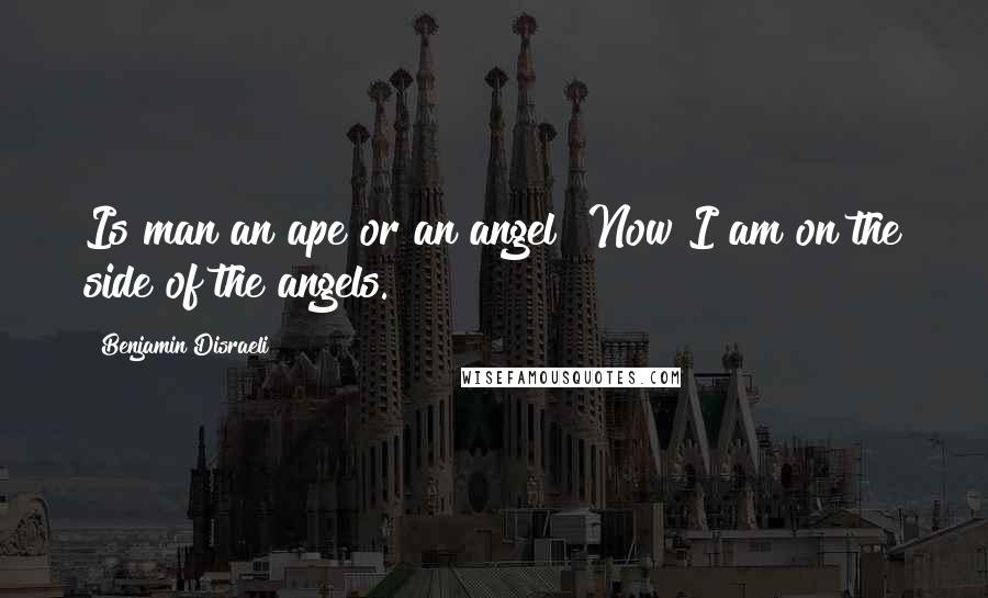 Benjamin Disraeli Quotes: Is man an ape or an angel? Now I am on the side of the angels.
