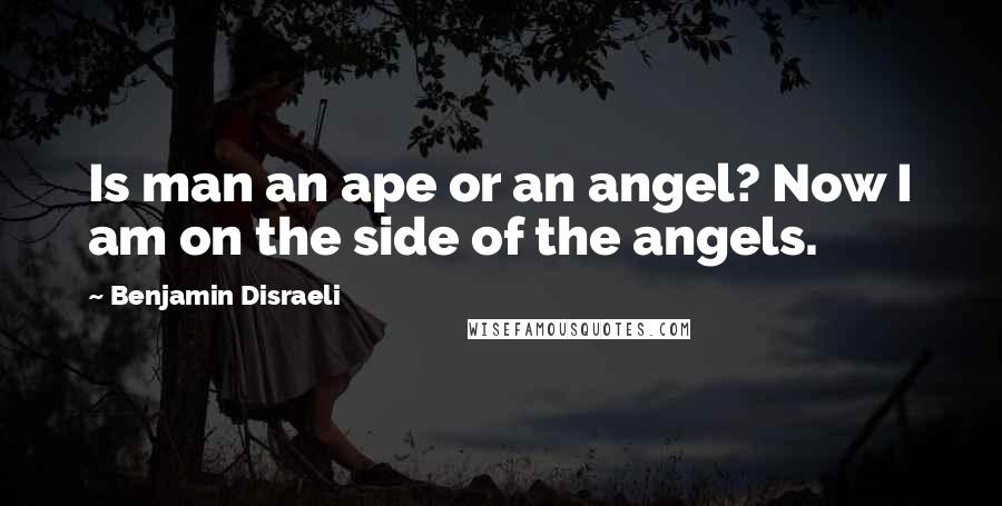 Benjamin Disraeli Quotes: Is man an ape or an angel? Now I am on the side of the angels.