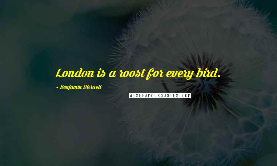 Benjamin Disraeli Quotes: London is a roost for every bird.