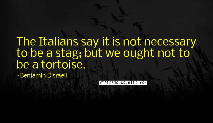 Benjamin Disraeli Quotes: The Italians say it is not necessary to be a stag; but we ought not to be a tortoise.