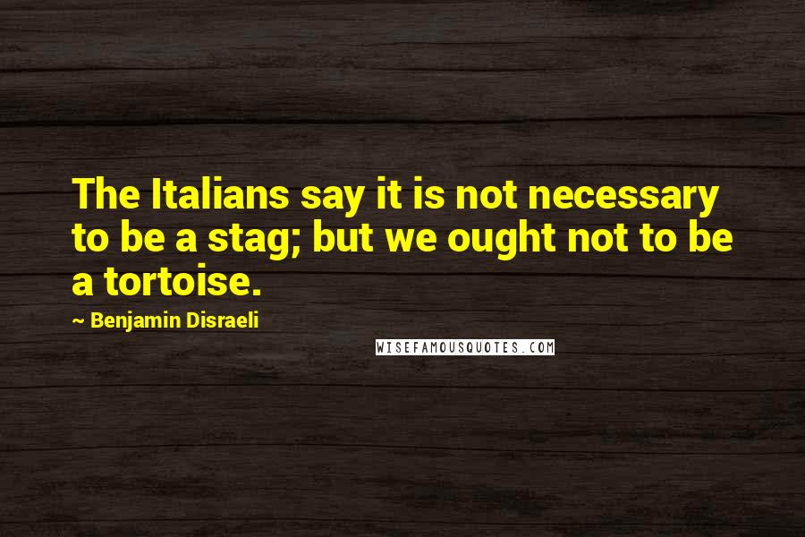 Benjamin Disraeli Quotes: The Italians say it is not necessary to be a stag; but we ought not to be a tortoise.