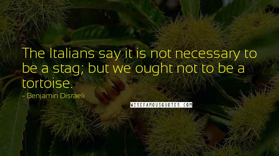 Benjamin Disraeli Quotes: The Italians say it is not necessary to be a stag; but we ought not to be a tortoise.