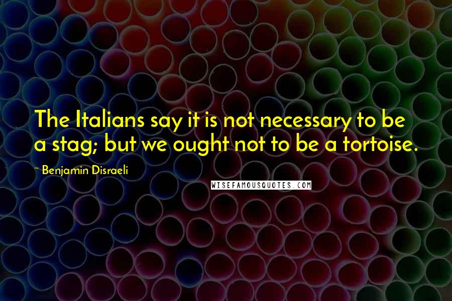 Benjamin Disraeli Quotes: The Italians say it is not necessary to be a stag; but we ought not to be a tortoise.