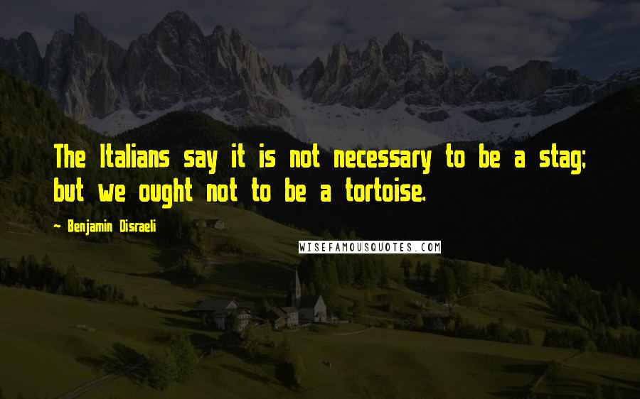 Benjamin Disraeli Quotes: The Italians say it is not necessary to be a stag; but we ought not to be a tortoise.