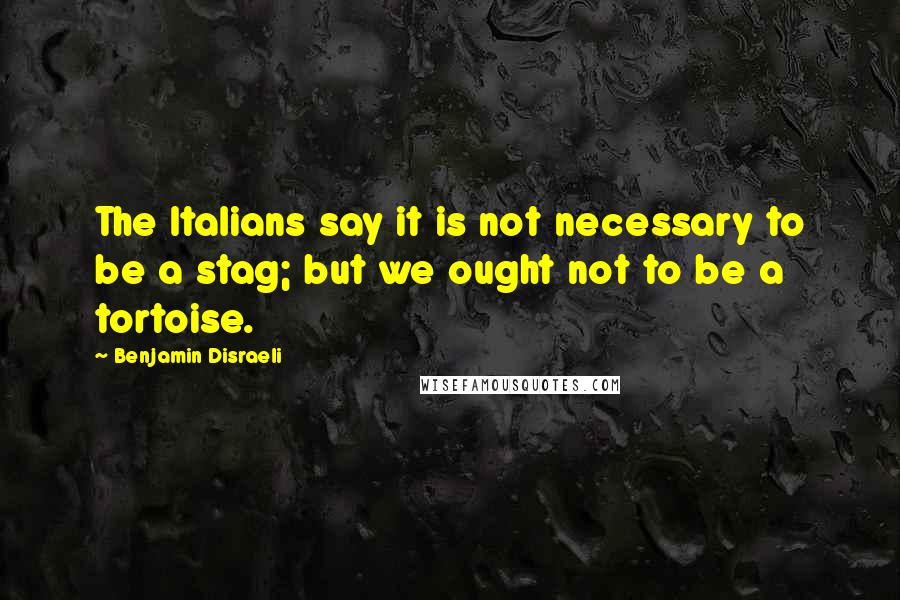 Benjamin Disraeli Quotes: The Italians say it is not necessary to be a stag; but we ought not to be a tortoise.