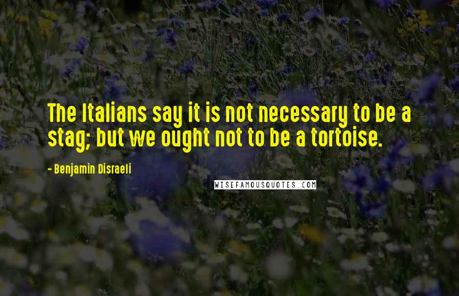 Benjamin Disraeli Quotes: The Italians say it is not necessary to be a stag; but we ought not to be a tortoise.