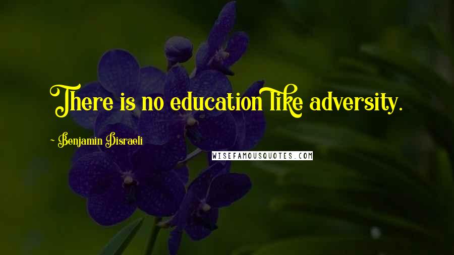 Benjamin Disraeli Quotes: There is no education like adversity.
