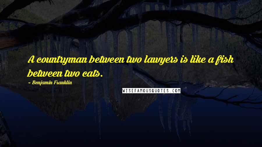 Benjamin Franklin Quotes: A countryman between two lawyers is like a fish between two cats.