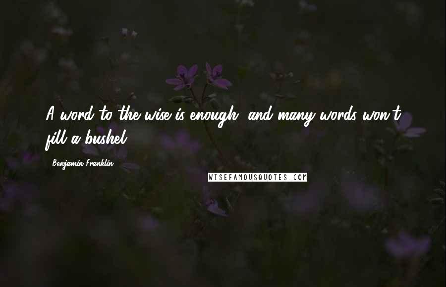 Benjamin Franklin Quotes: A word to the wise is enough, and many words won't fill a bushel.