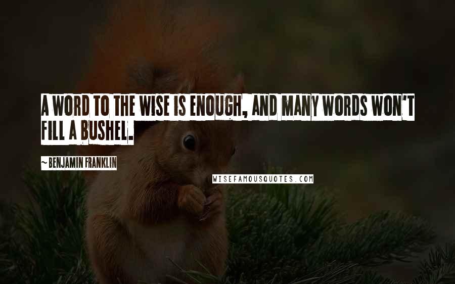 Benjamin Franklin Quotes: A word to the wise is enough, and many words won't fill a bushel.