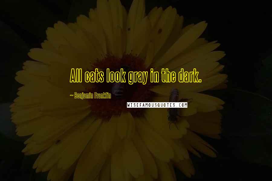 Benjamin Franklin Quotes: All cats look gray in the dark.