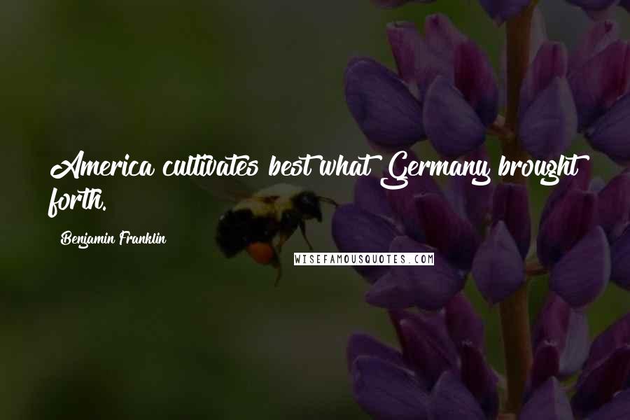 Benjamin Franklin Quotes: America cultivates best what Germany brought forth.