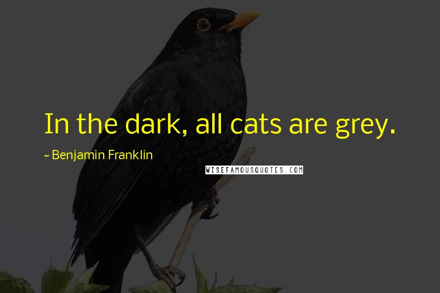 Benjamin Franklin Quotes: In the dark, all cats are grey.