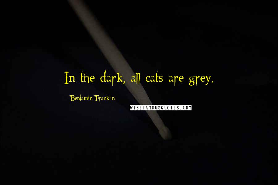 Benjamin Franklin Quotes: In the dark, all cats are grey.