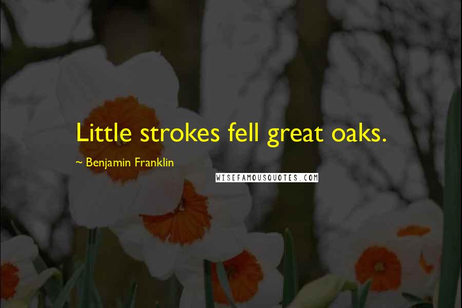 Benjamin Franklin Quotes: Little strokes fell great oaks.